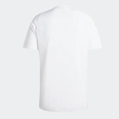 ARGENTINA SPECIAL EDITION MESSI I 24/25 MEN'S