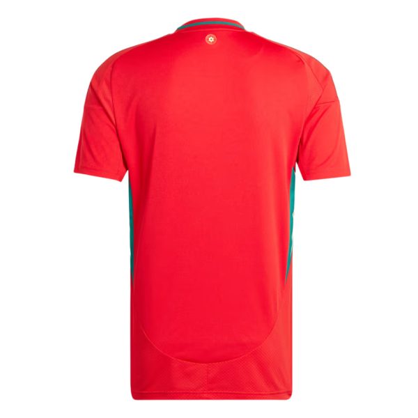 Jersey PAIS DE GALES I EURO 2024 MEN'S